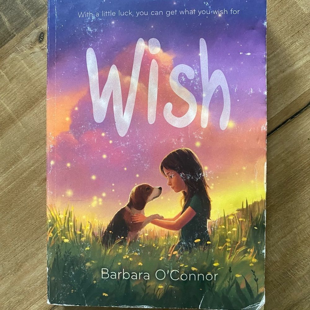 Wish by Barbara O'Connor Book